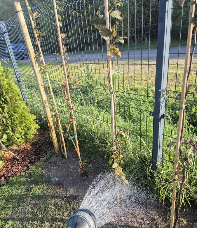 Atliktas vejos ir aplinkos tvarkymo darbas