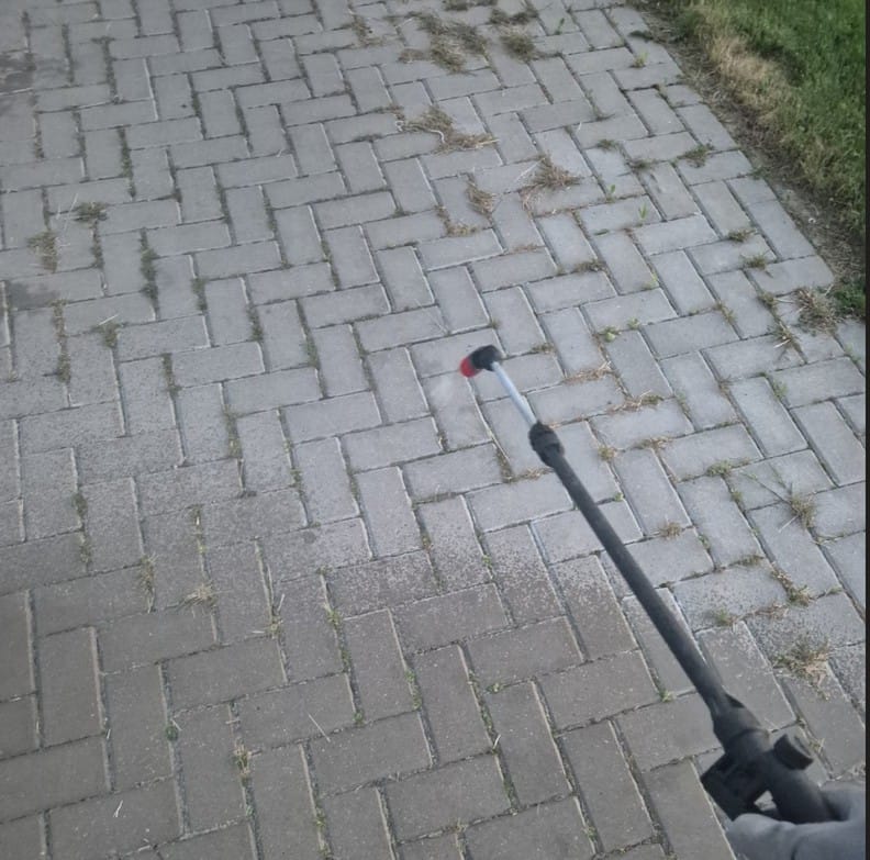Atliktas vejos ir aplinkos tvarkymo darbas