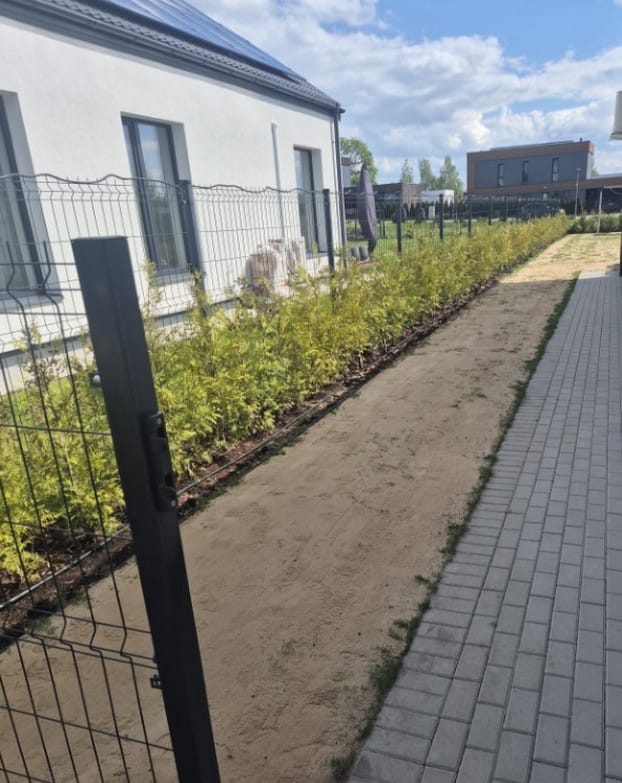 Atliktas vejos ir aplinkos tvarkymo darbas